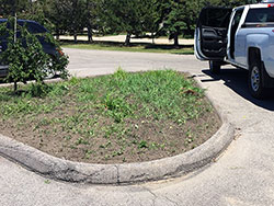 Picture of a slice of land before placing sod